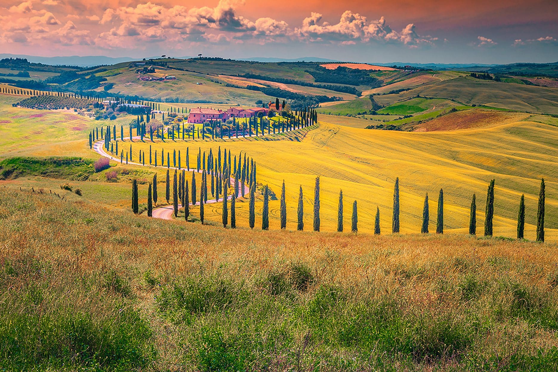 UNESCO Val d'Orcia rolling hills with cypress trees in Tuscany Italy