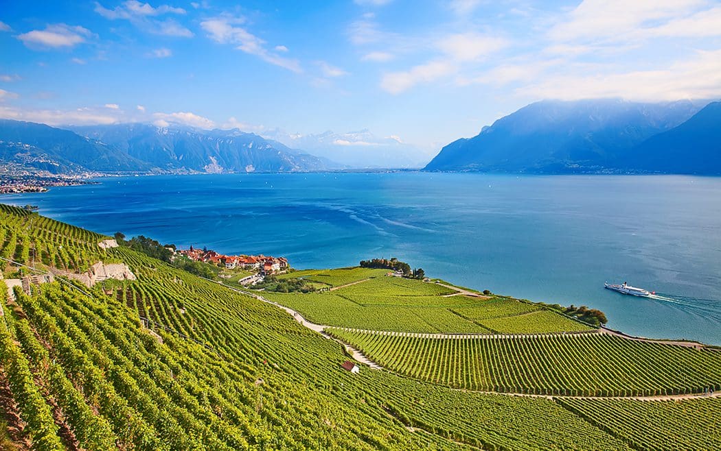 UNESCO Lavaux Vineyards and Leman Lake Canton Vaud Switzerland