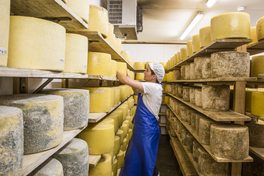 St Andrews Cheese Company False Farm, Anstruther.